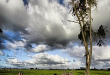 J9九游会官网：JR分析：勇士进攻体系重塑，波斯特成长和库里回归为关键.