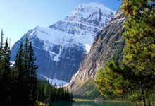 意甲：博洛尼亚以2比1 战胜体育米兰.