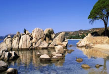 [运动一起赢]全运会群众比赛五人制足球男子老将组北区预赛收官.